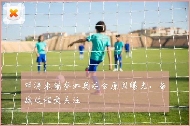 田涛未能参加奥运会原因曝光,备战过程受关注